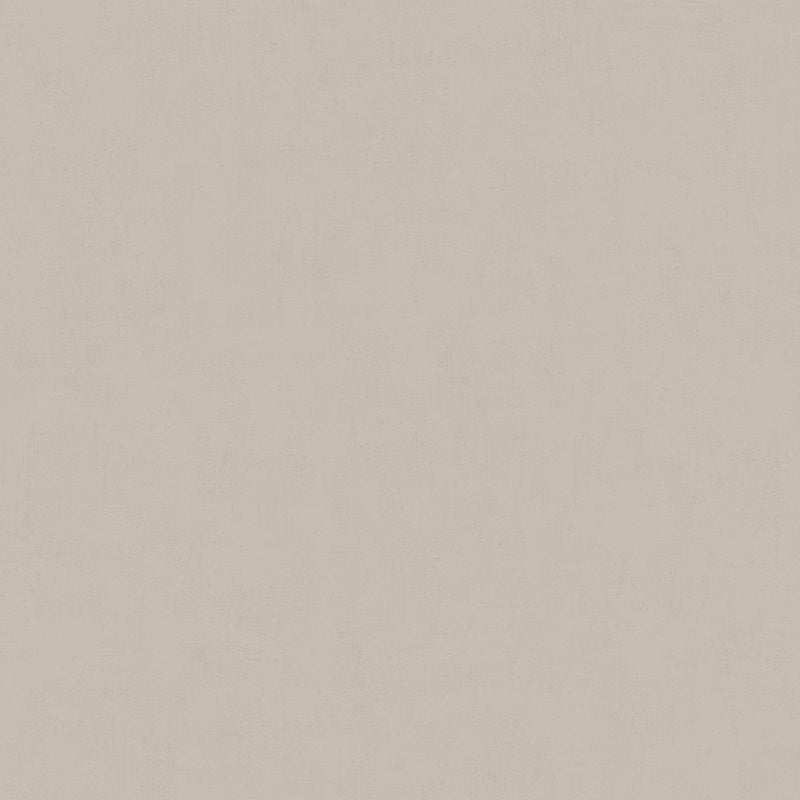 61062 Greige Kalk II Wallpaper by Tres Tintas