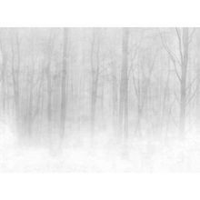 622-18 Gray Vinterskog Sandberg Edition Mural by Sandberg