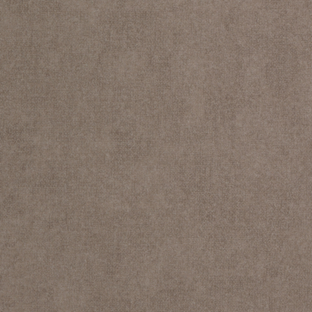 6300003 Bianca Brown Tempo Wallpaper by Coordonné