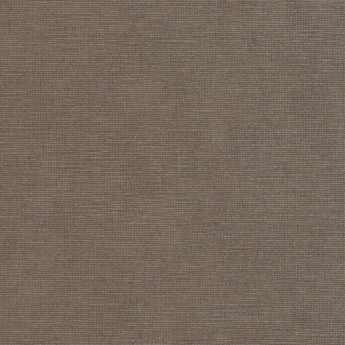 6300043 Francesco Brown Tempo Wallpaper by Coordonné