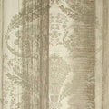 Warm Grey Nerites Adonea Wallpaper By Hohenberger