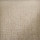 64281 Taupe Zeus Adonea Wallpaper By Hohenberger