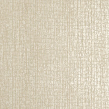 64282 Cream White Zeus Adonea Wallpaper By Hohenberger