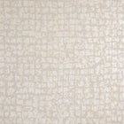 64283 Sand Zeus Adonea Wallpaper By Hohenberger