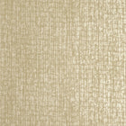 64297 Gold Zeus Adonea Wallpaper By Hohenberger