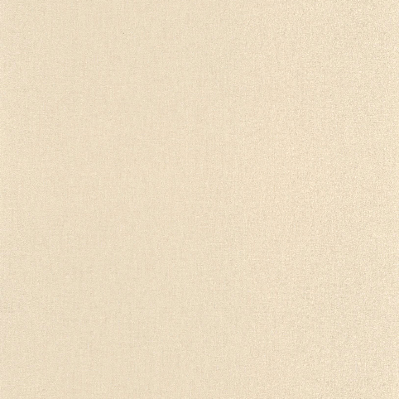 BAI64522220 Life Basics Plain Wallpaper By Caselio