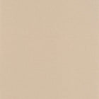 OTLS64522412 Life Outlines Wallpaper by Caselio