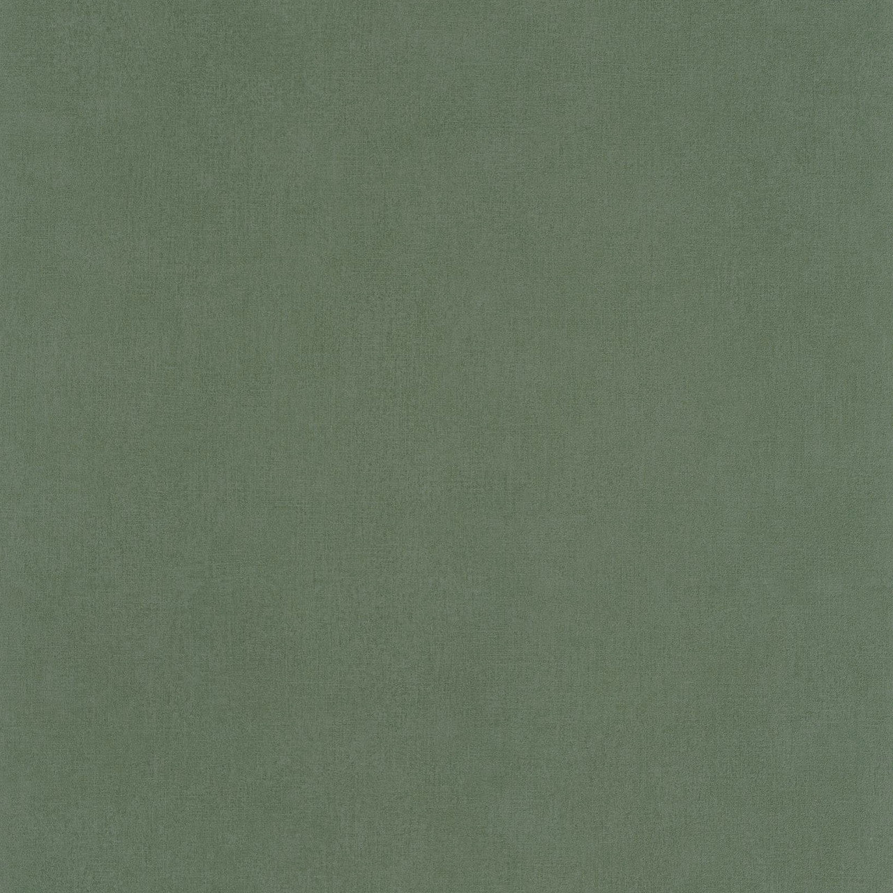 BAI64524044 Life Basics Plain Wallpaper By Caselio