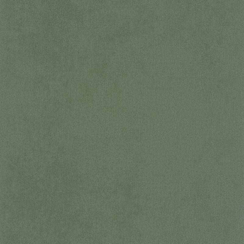 BAI64524044 Life Basics Plain Wallpaper By Caselio