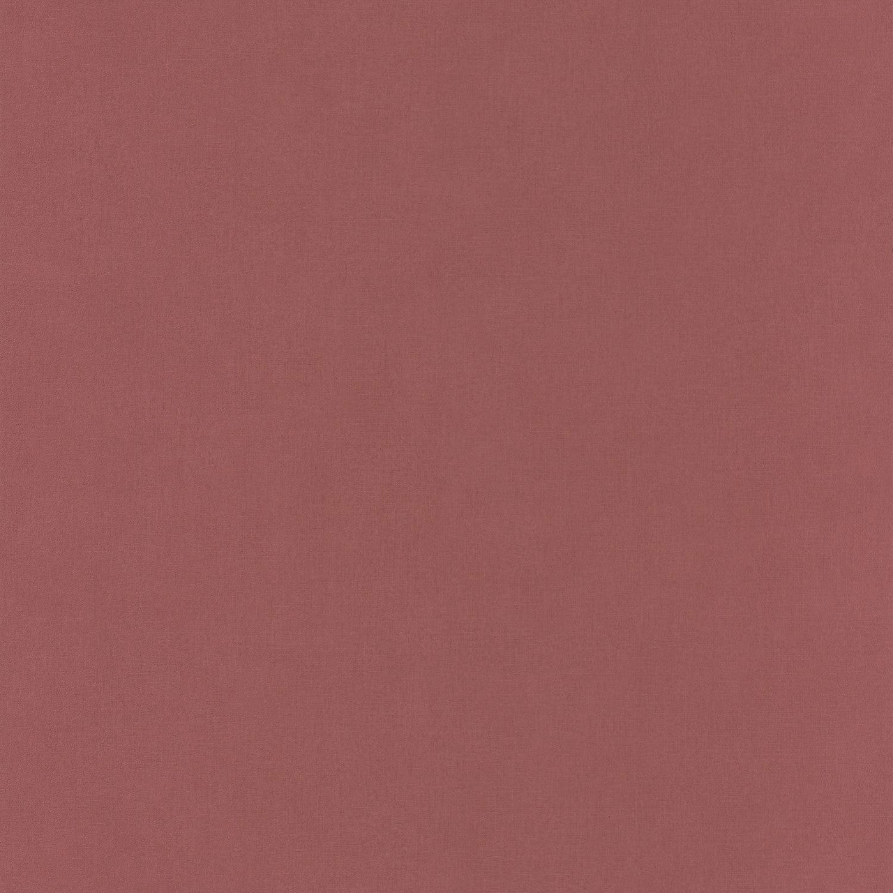 SYO64524250 Life Sea You Soon Wallpaper by Caselio