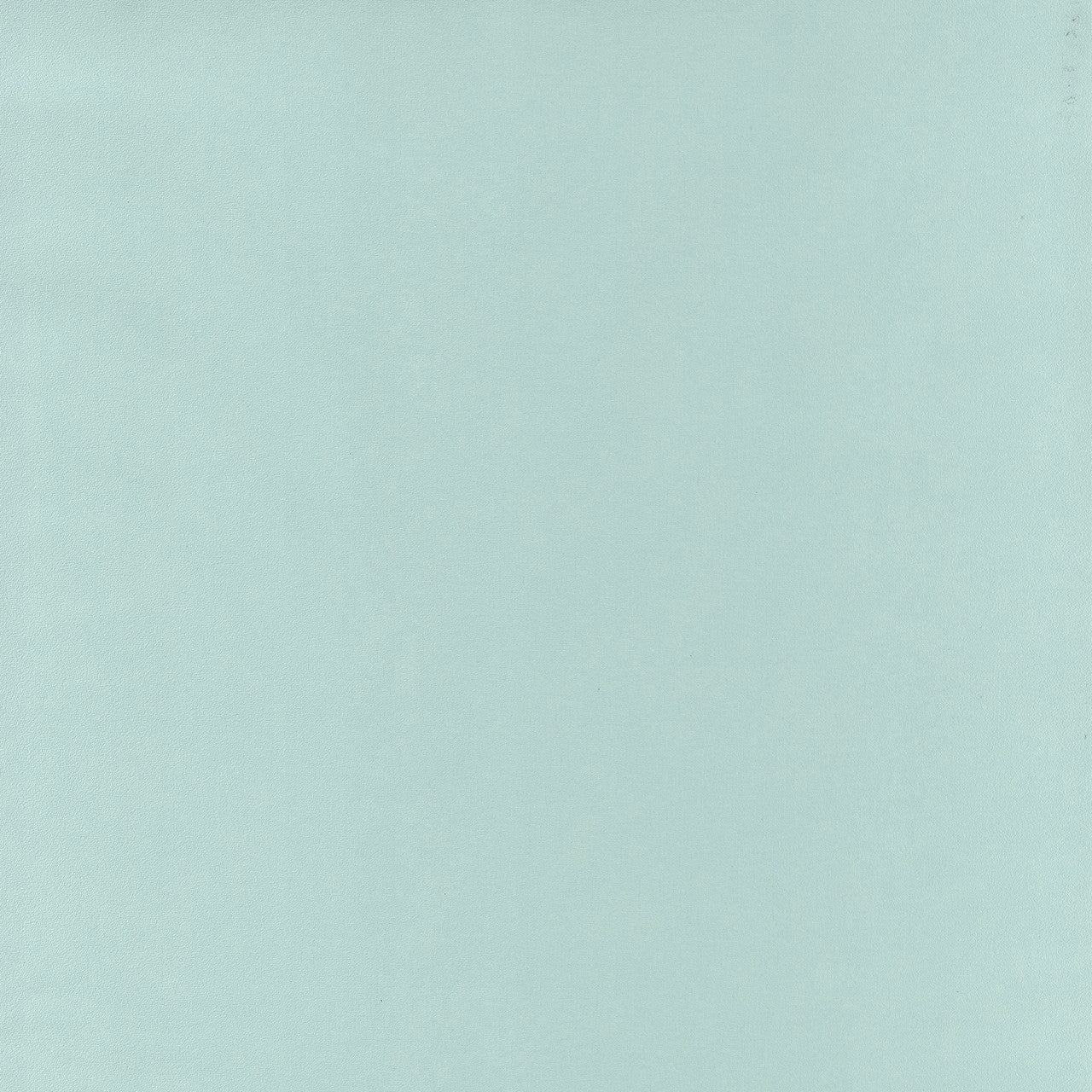 BAI64527007 Life Basics Plain Mint Wallpaper By Caselio