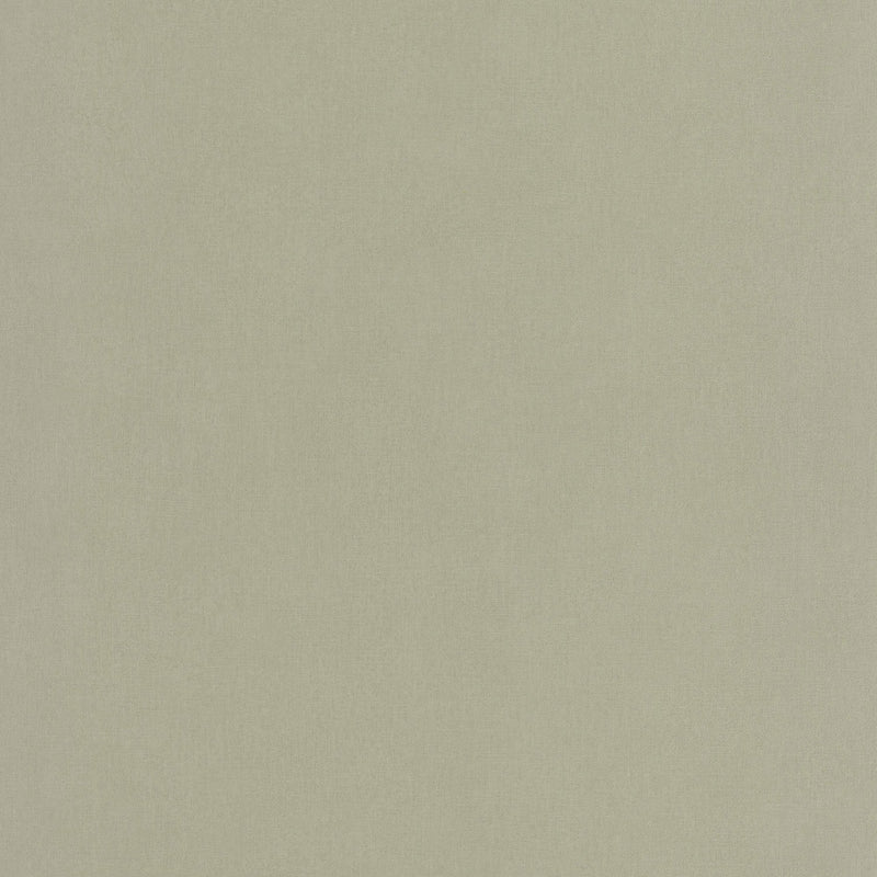 BAI64527210 Life Basics Plain Wallpaper By Caselio