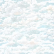 646-06 Light Blue Himmel Sandberg Edition Mural by Sandberg