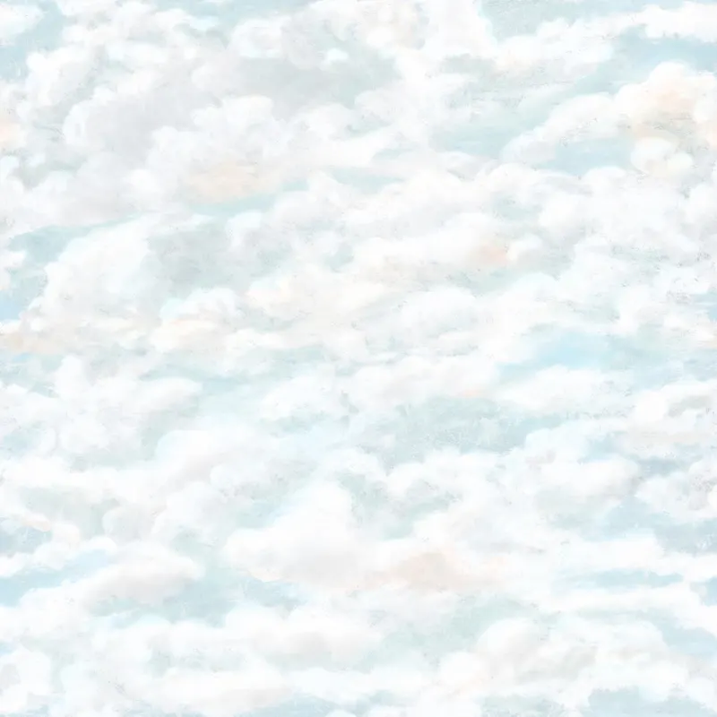 646-06 Light Blue Himmel Sandberg Edition Mural by Sandberg