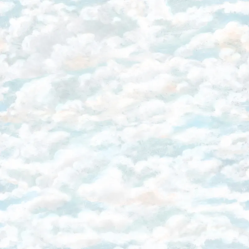 646-06 Light Blue Himmel Sandberg Edition Mural by Sandberg
