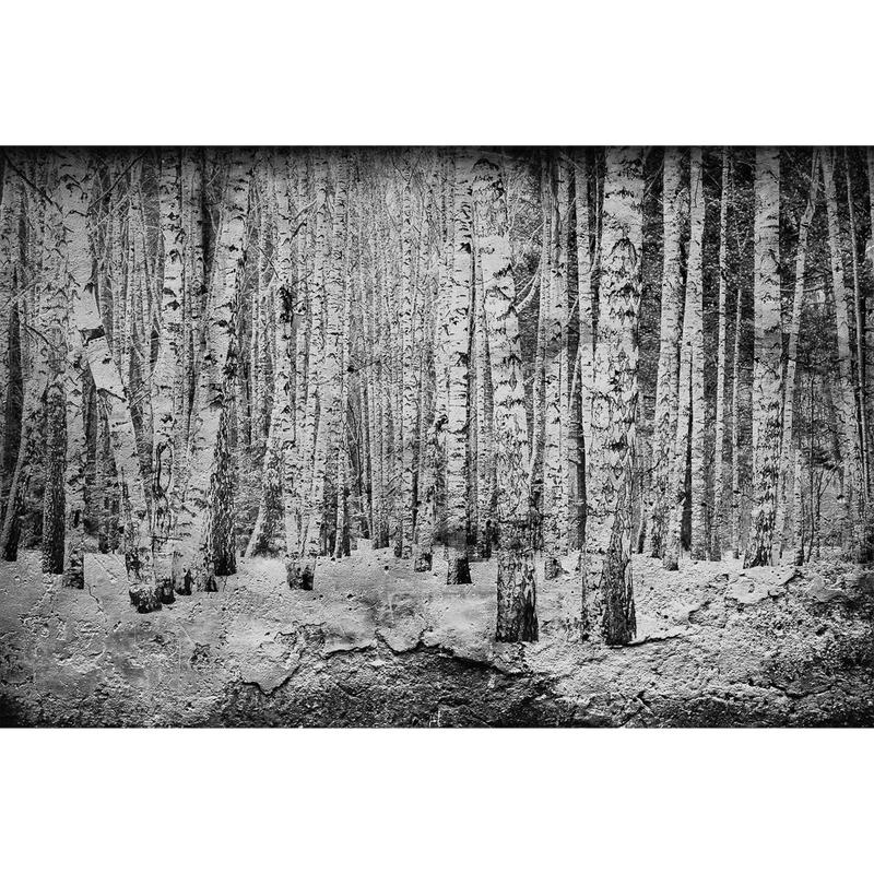 Broken Forest Black Random Papers Mural by Coordonné