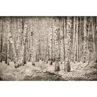 Broken Forest Sepia Random Papers Mural by Coordonné