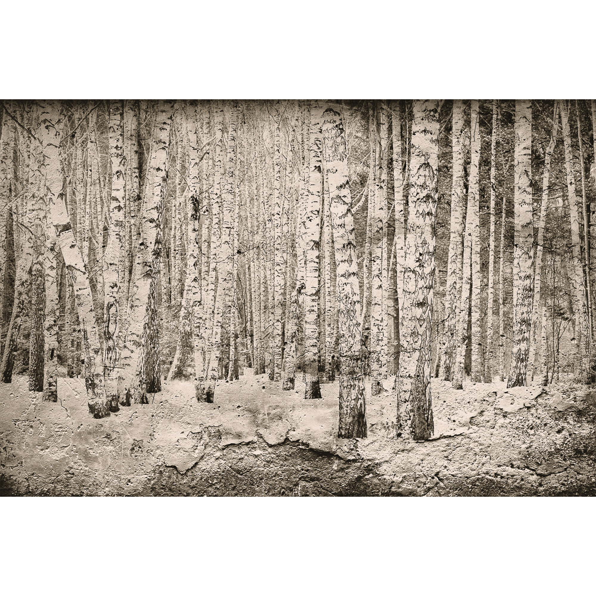 Broken Forest Sepia Random Papers Mural by Coordonné
