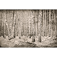Broken Forest Sepia Random Papers Mural by Coordonné