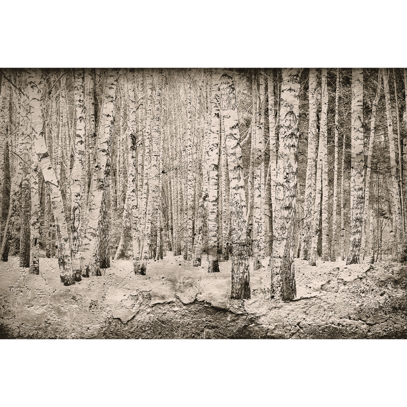 Broken Forest Sepia Random Papers Mural by Coordonné