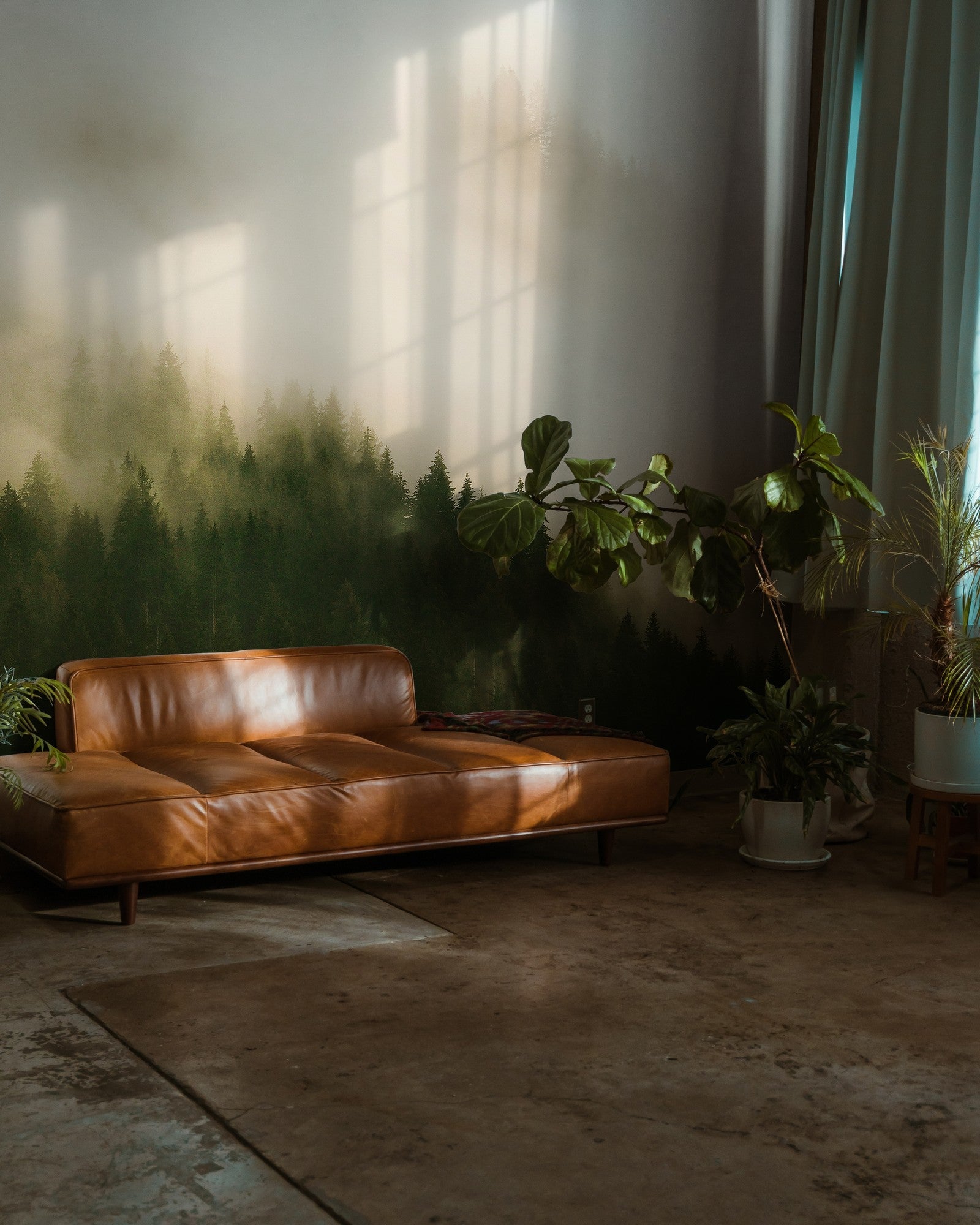 6500204 Woods For Forest  Random Papers Mural by Coordonné