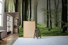 6500208 Woods Summer Path  Random Papers Mural by Coordonné