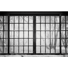 Japanese Window  Random Papers Mural by Coordonné
