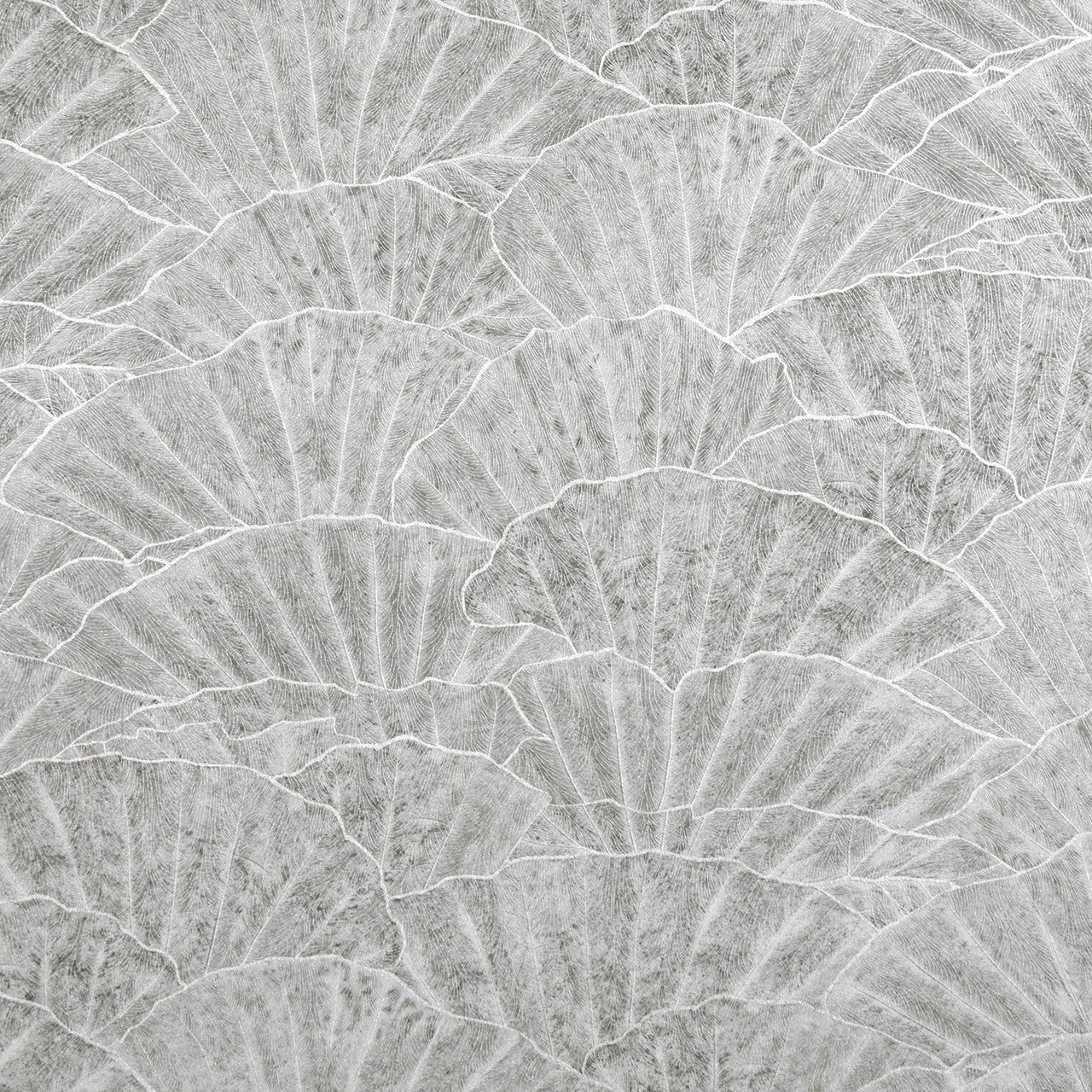 65002 Seashell Cloudy Grey Feel Wallpaper By Hohenberger