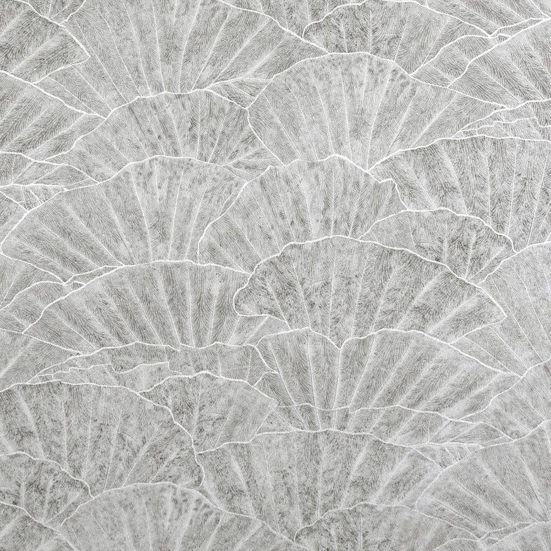 65002 Seashell Cloudy Grey Feel Wallpaper By Hohenberger