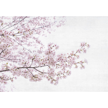 Blossom Almond Tree Pink Random Papers Mural by Coordonné