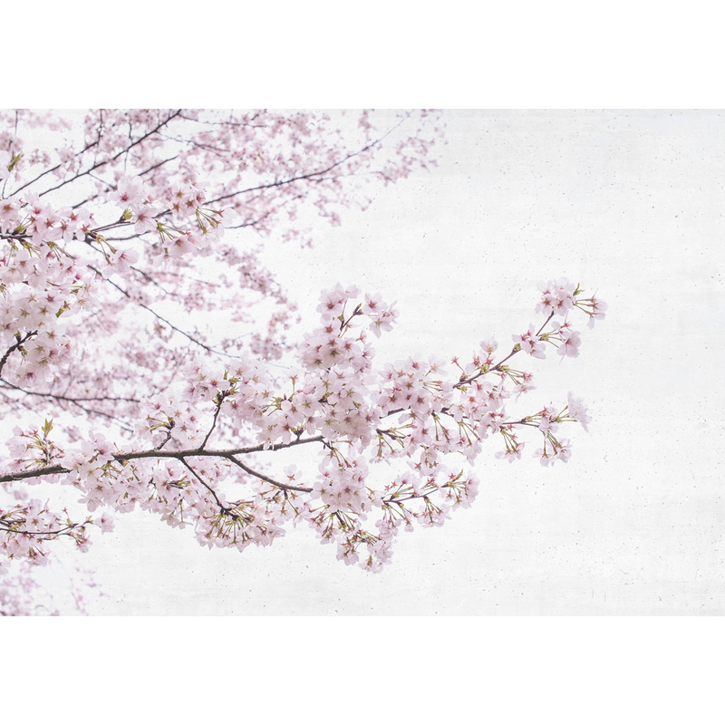 Blossom Almond Tree Pink Random Papers Mural by Coordonné