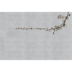 Blossom Branch Grey Random Papers Mural by Coordonné