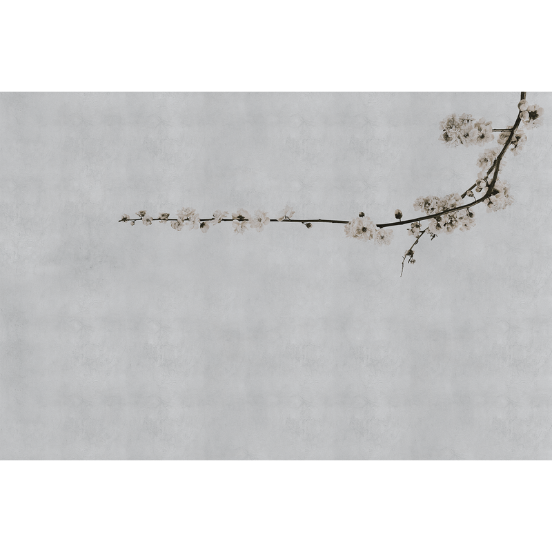 Blossom Branch Grey Random Papers Mural by Coordonné
