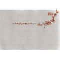Blossom Branch Pink Mural by Coordonné