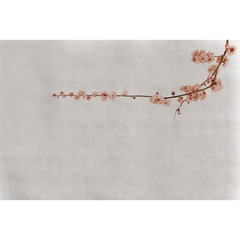 Blossom Branch Pink Random Papers Mural by Coordonné