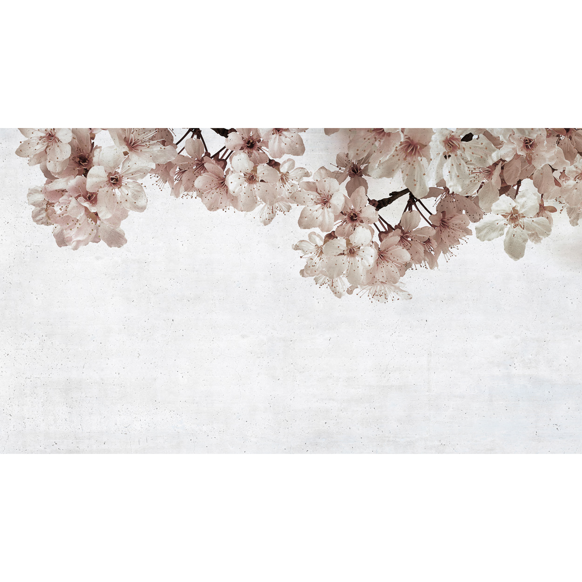 Blossom Big Almond Flower  Random Papers Mural by Coordonné
