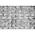 Palm Tree Frame Grey Random Papers Mural by Coordonné