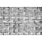Palm Tree Frame Grey Random Papers Mural by Coordonné