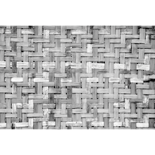 Palm Tree Frame Grey Random Papers Mural by Coordonné