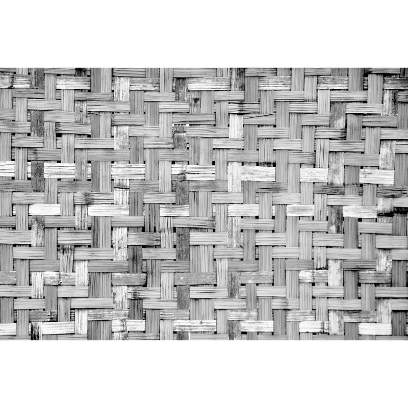 Palm Tree Frame Grey Random Papers Mural by Coordonné