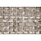Palm Tree Frame Sepia Random Papers Mural by Coordonné