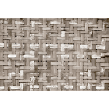 Palm Tree Frame Sepia Random Papers Mural by Coordonné
