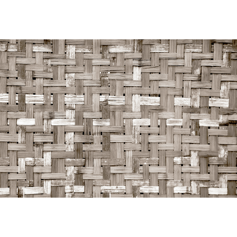 Palm Tree Frame Sepia Random Papers Mural by Coordonné