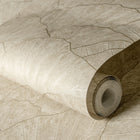 65003 Seashell Beige Feel Wallpaper By Hohenberger