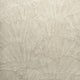Seashell Beige Feel Wallpaper By Hohenberger