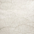 65004 Seashell Old White Feel Wallpaper By Hohenberger