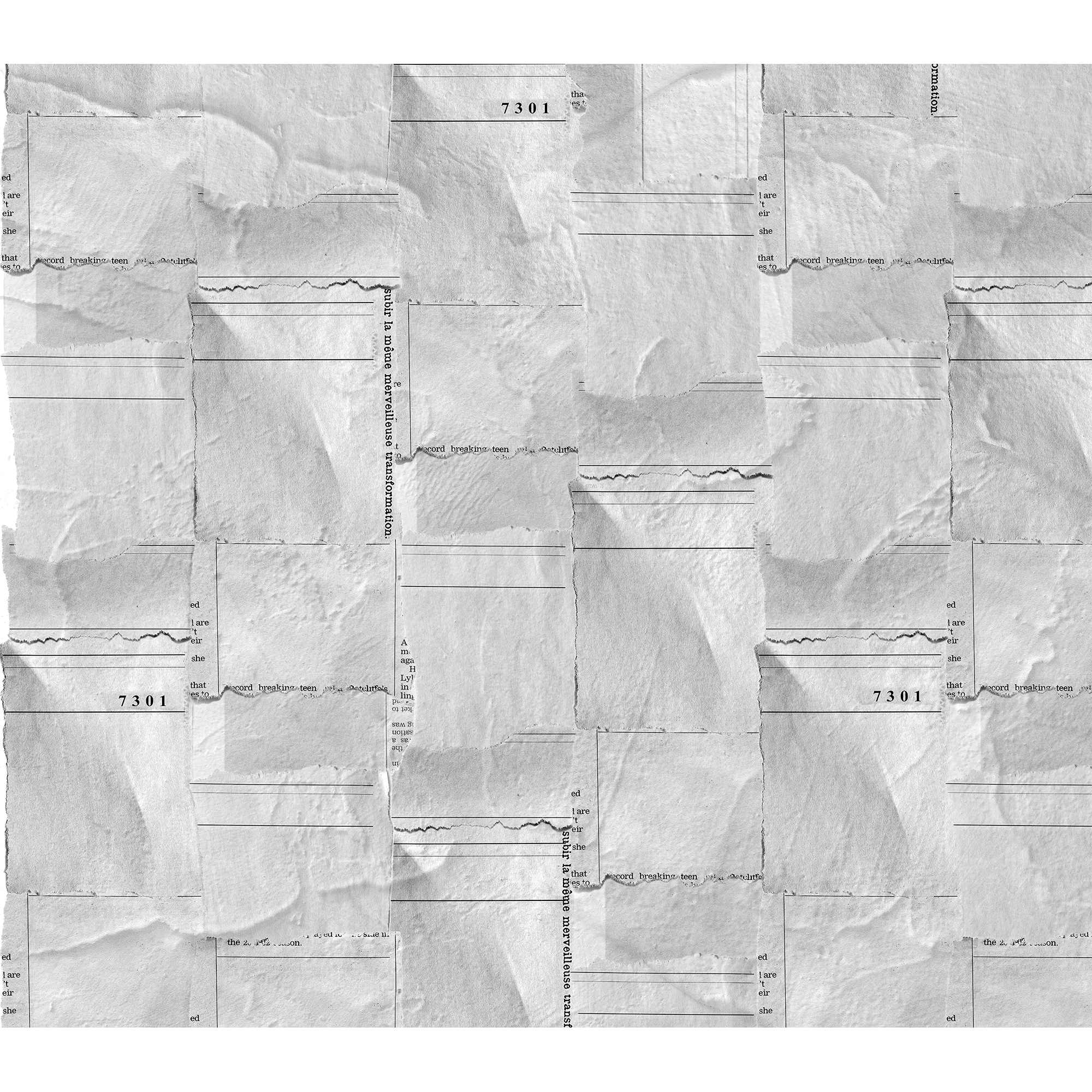 Newspaper Pieces Grey Random Papers Mural by Coordonné