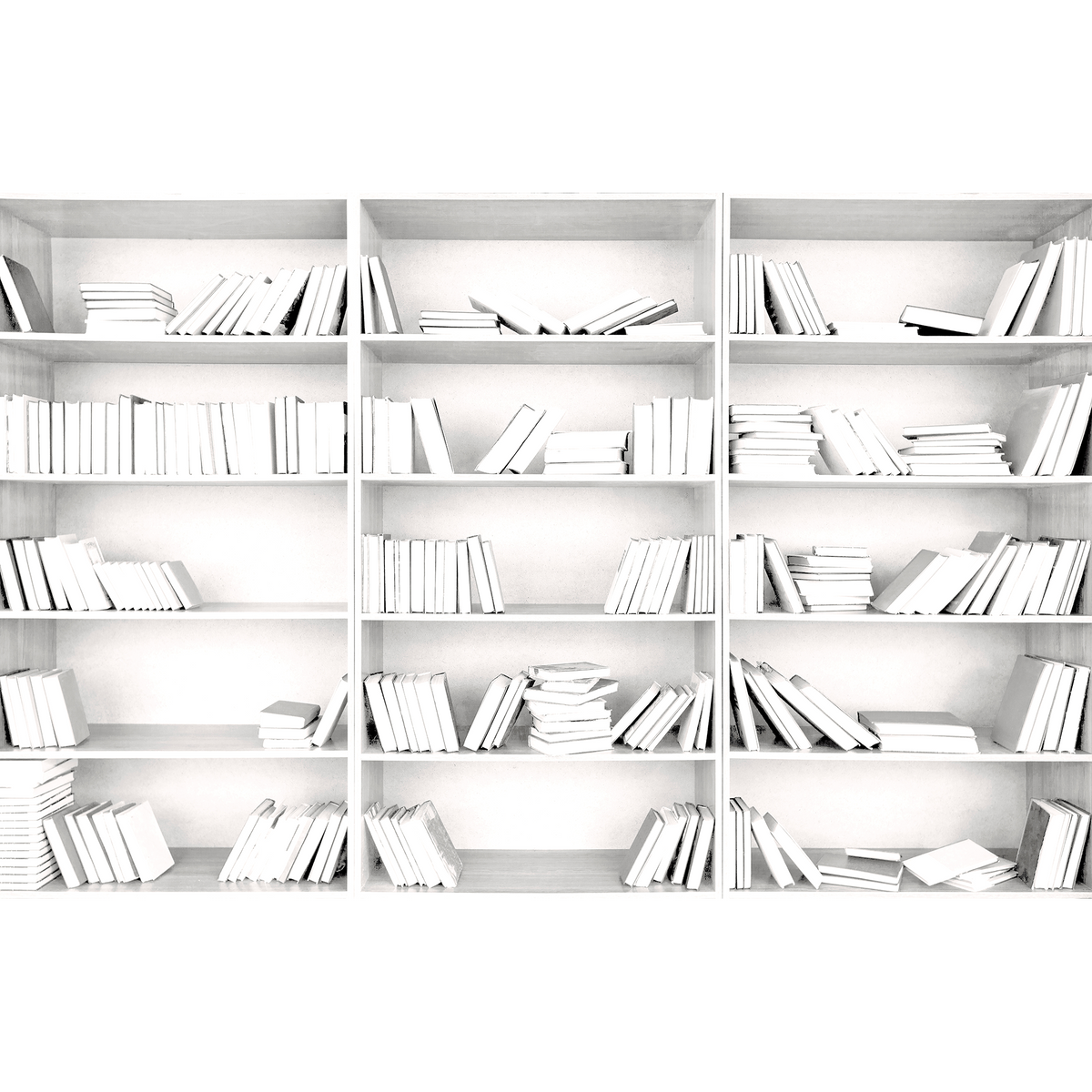 Shelving  Random Papers Mural by Coordonné