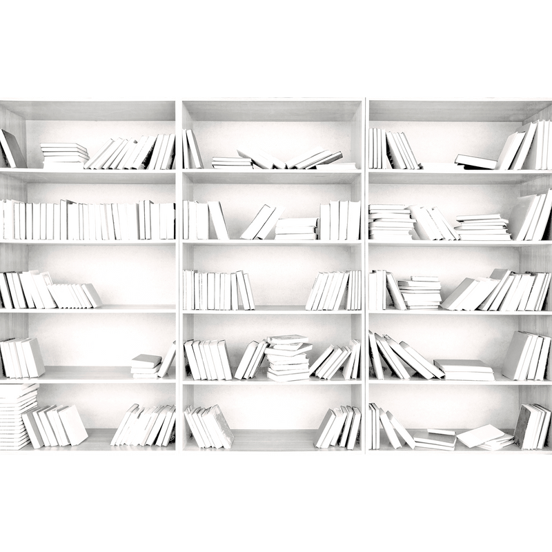 Shelving  Random Papers Mural by Coordonné