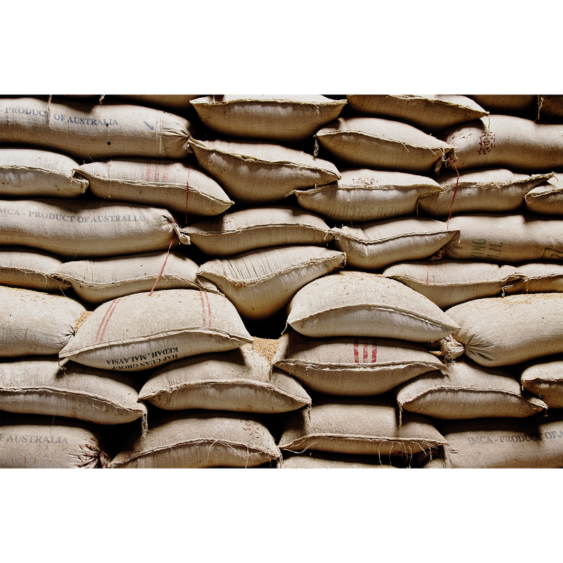 Sacks  Random Papers Mural by Coordonné